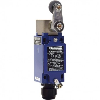 Концевой выключатель TELEMECANIQUE Sensors XCKJ390513H29EX 489123