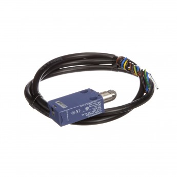 Концевой выключатель TELEMECANIQUE Sensors XCMD2103L1 489318
