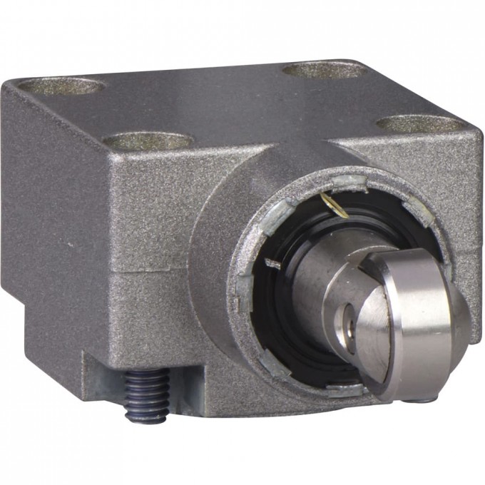 Аксессуар для концевого выключателя TELEMECANIQUE Sensors ZCKJ115 489809